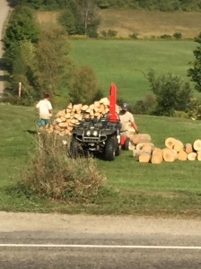 Little Dude helping his dad split and stack firewood. 